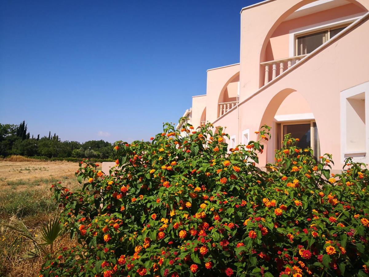Seashell Apartments Paphos Eksteriør billede